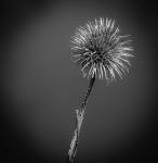 Per Strömberg  Silver