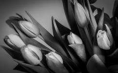 Per Strömberg Delat Brons